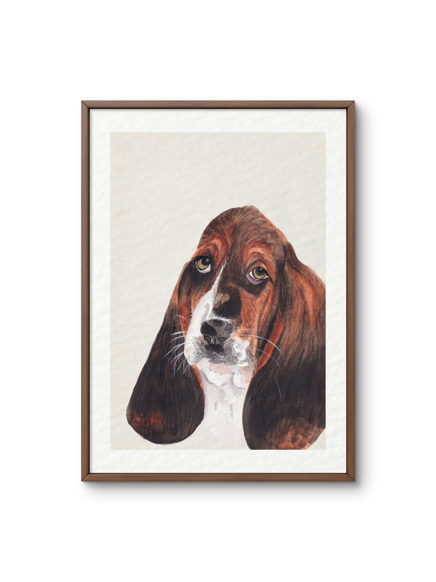 Poster Basset Hound