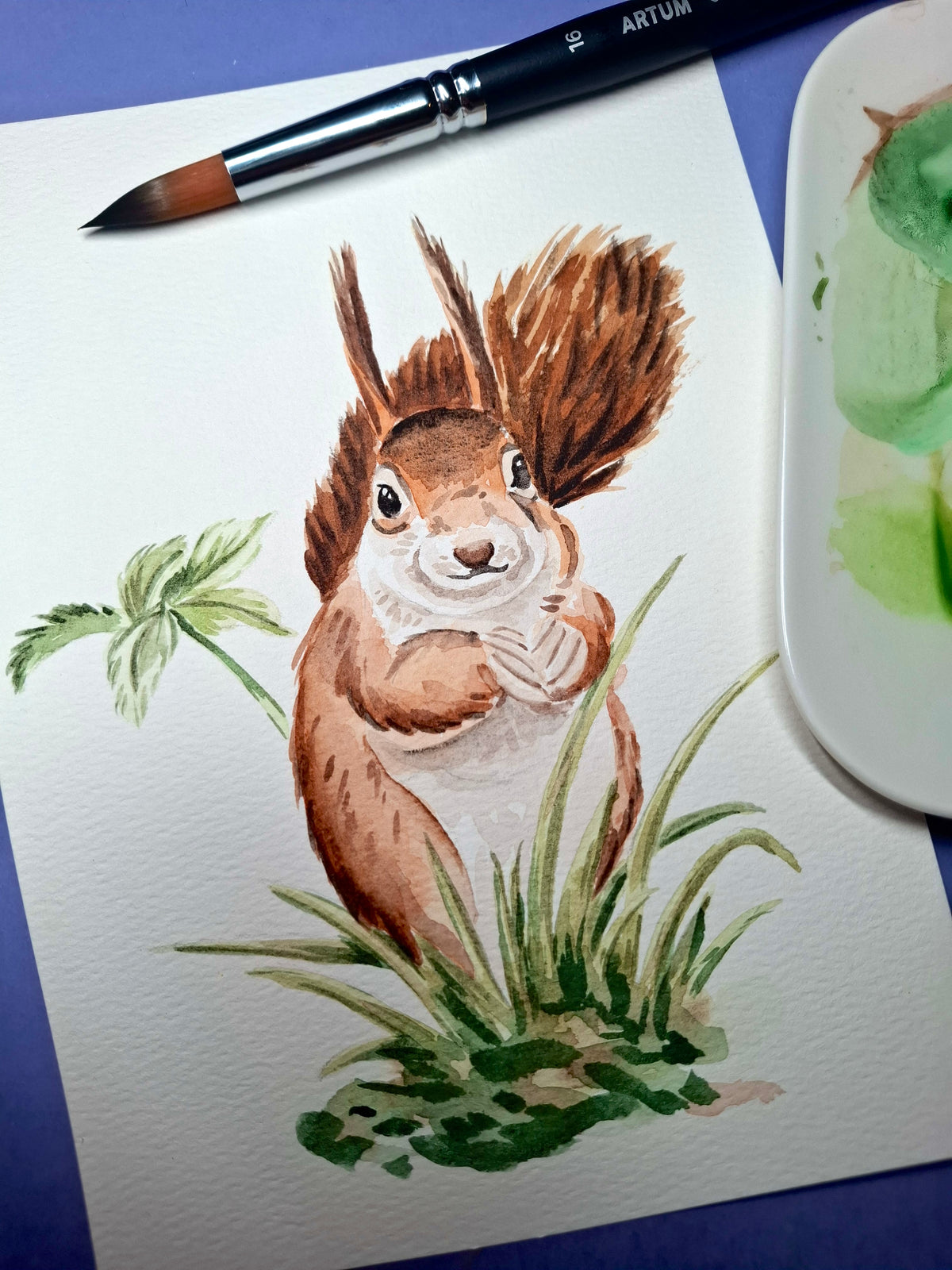 Aquarelverf – set van 12 kleuren