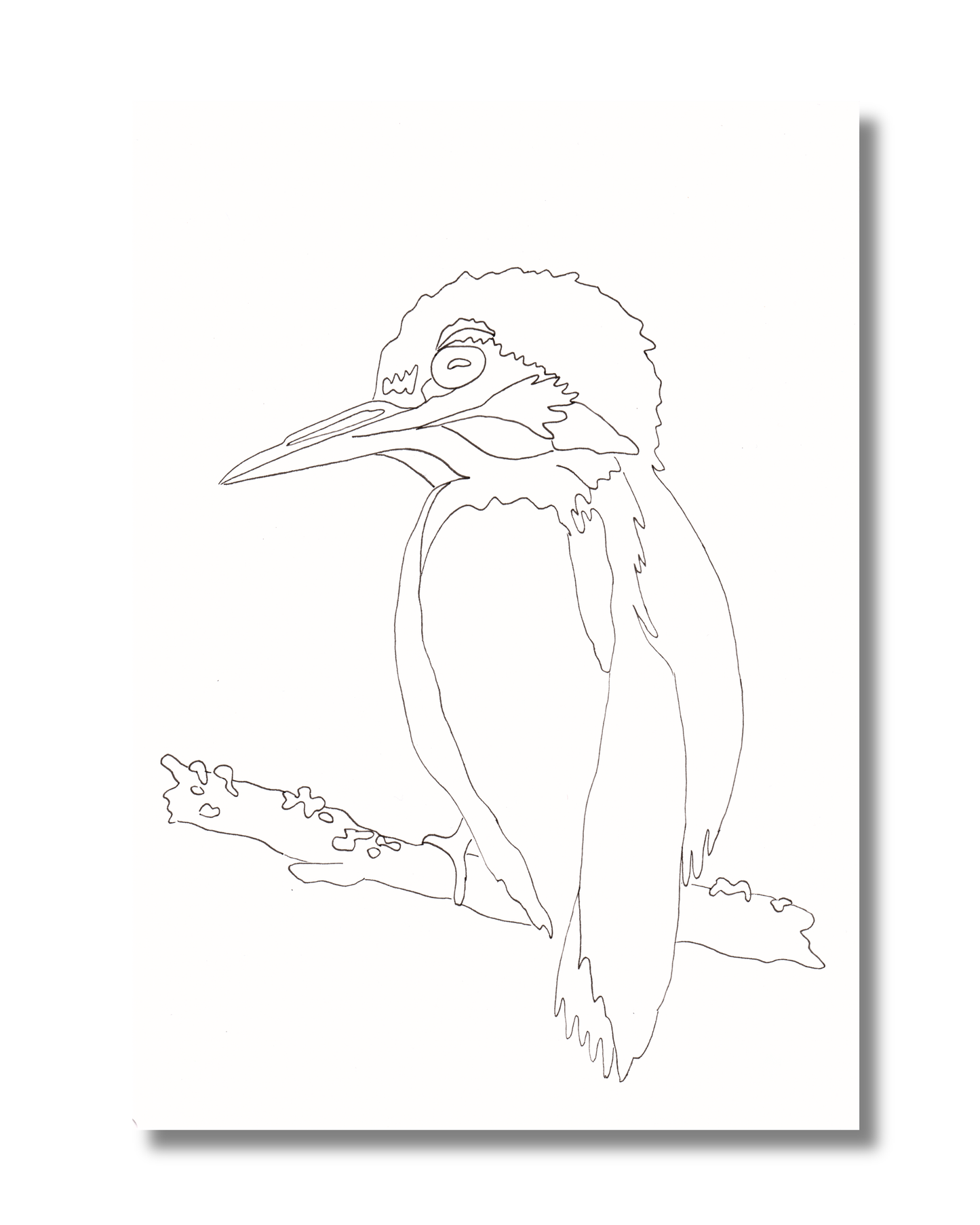 Kleurkaart IJsvogel
