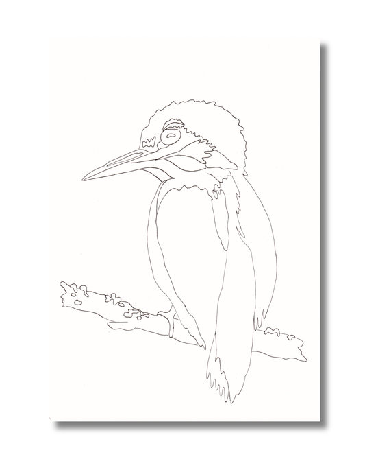 Kleurkaart IJsvogel
