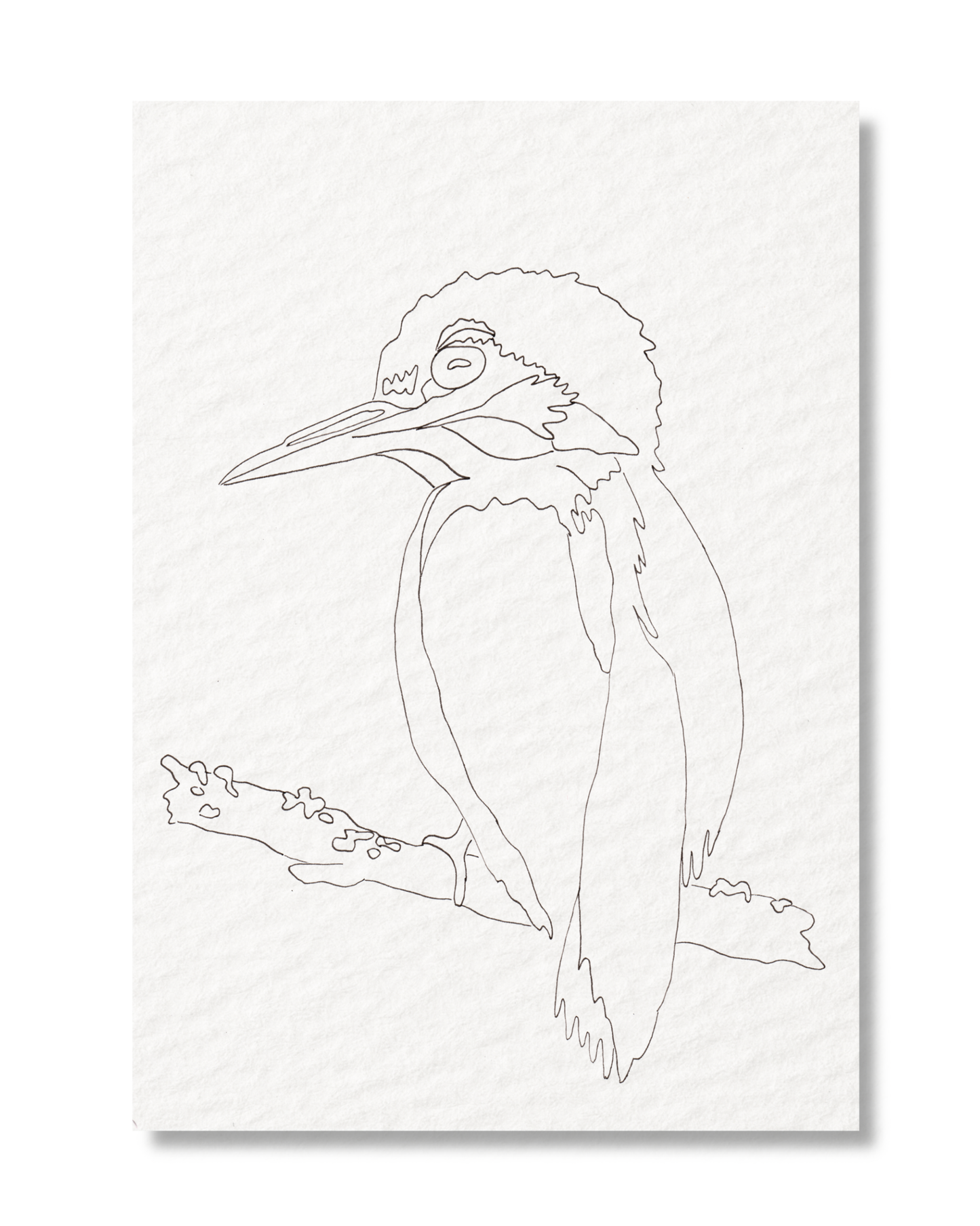 Kleurkaart IJsvogel