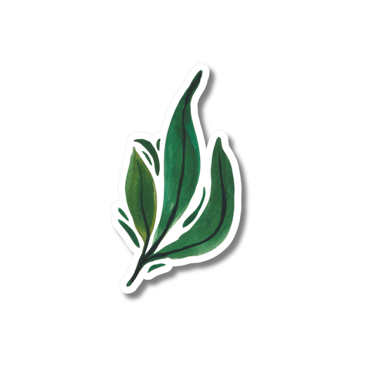 Sticker Blad Donkergroen
