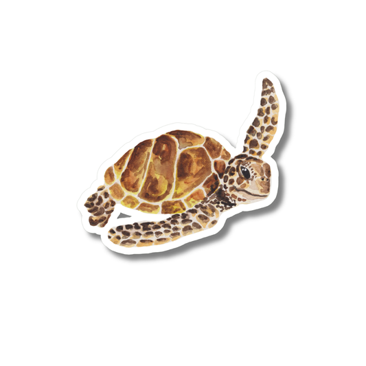 Sticker Schildpad
