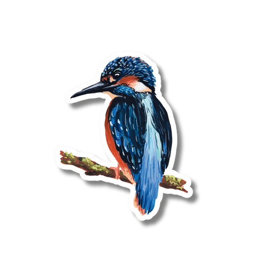 Sticker IJsvogel