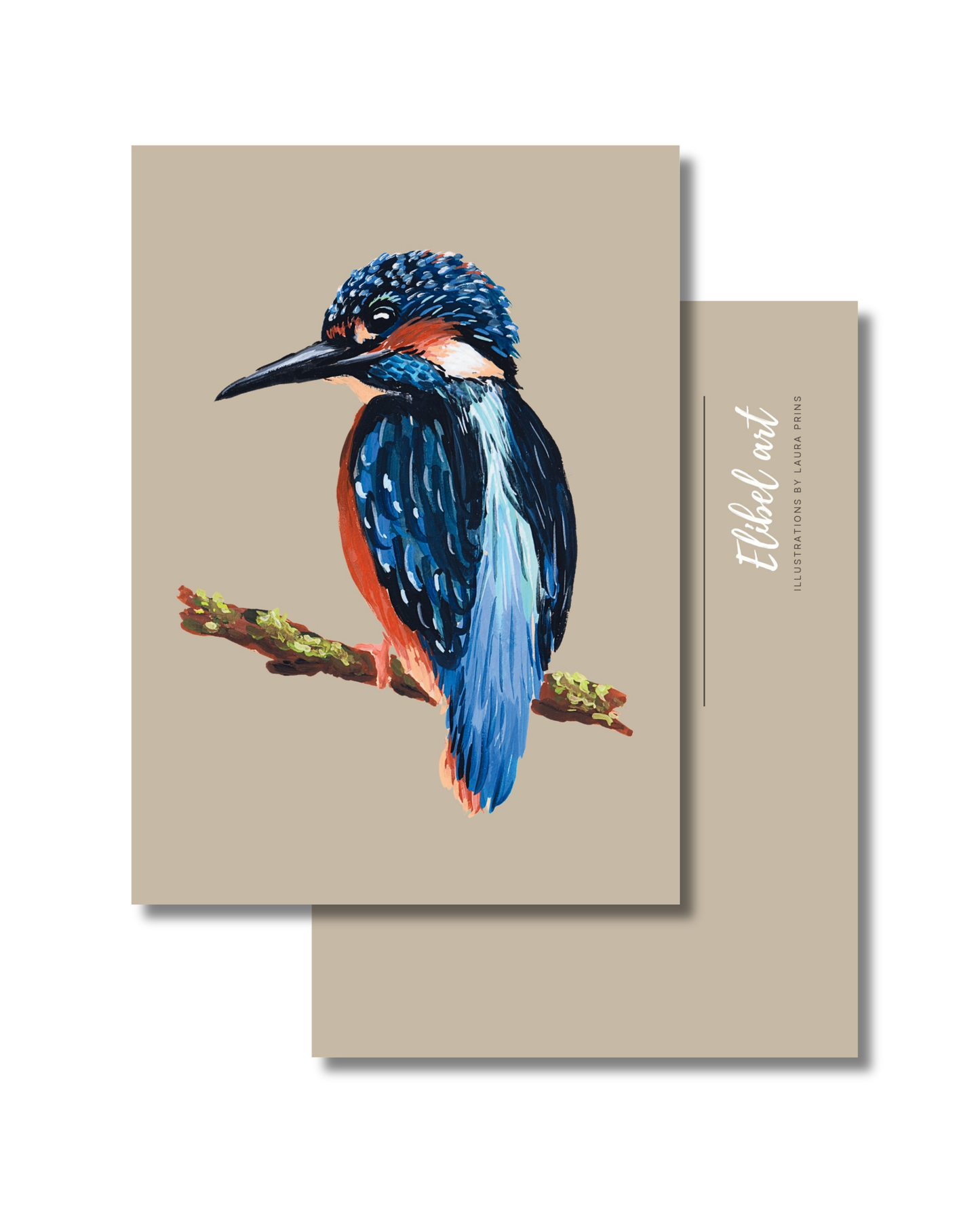 Ansichtkaart Ijsvogel