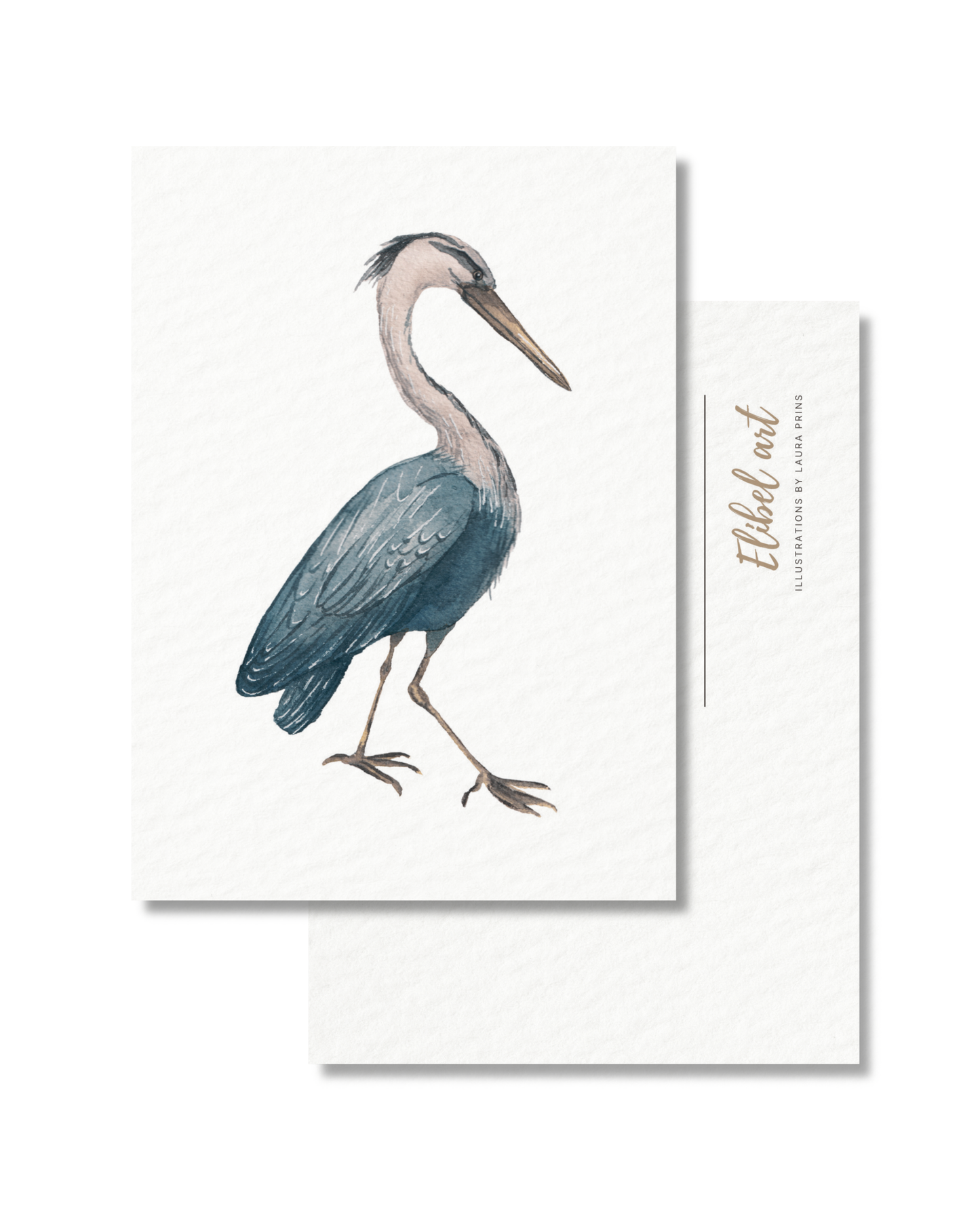 Ansichtkaart Blauwe Reiger