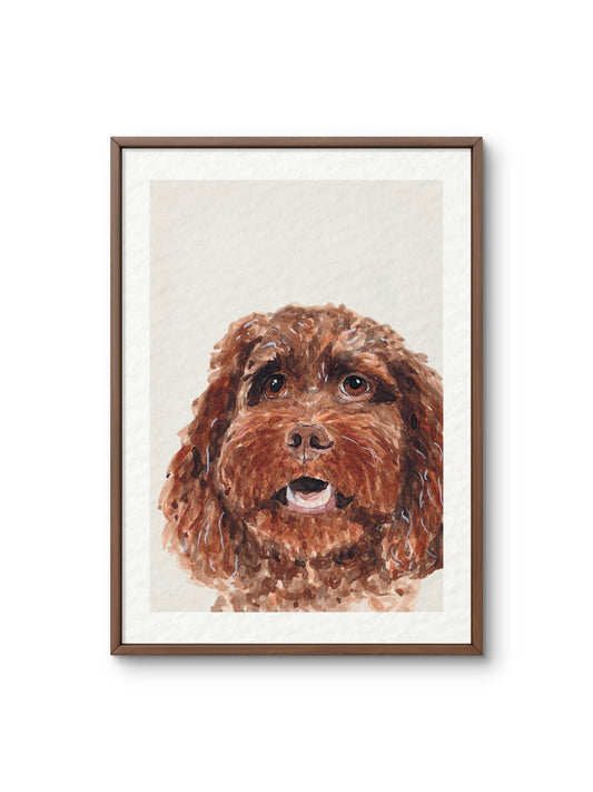 Poster Labradoodle